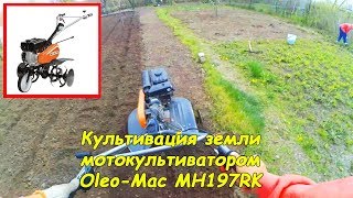 Cultivation with an Oleo-Mac MH197RK walk-behind tractor