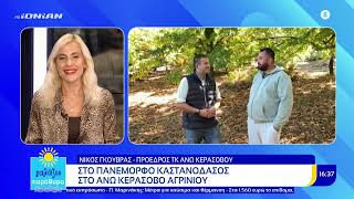 Εξόρμηση στο πανέμορφο καστανόδασος στο Άνω Κεράσοβο Αγρινίου