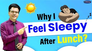 Feeling Sleepy After Lunch? Here’s the Real Reason!
