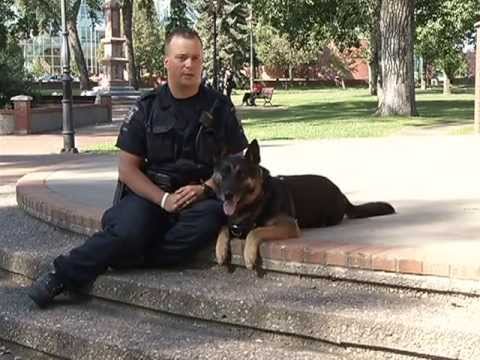 Police K9 Randy Everyday Heroes - Police K-9 Unit & Randy Chandler - YouTube