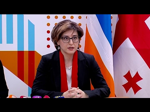 \"რესპუბლიკური პარტიის\" ლიდერების ბრიფინგი