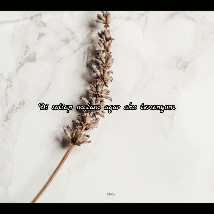 Story Wa (Lyrics : Mimpi Terindah - Cinta Kuya)