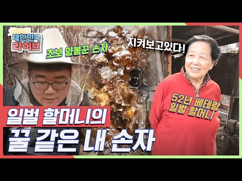 [환장의 짝꿍] <strong>일벌</strong> 할머니의 꿀 같은 내 손자! 두 사람의 아웅다웅 산골일기 KBS 210318 방송