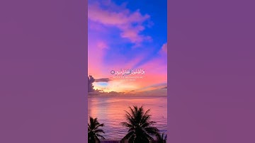 هذا خلق الله فاروني ماذا خلق الذين من دونه || حالات واتس اب قران كريم 🍂☄️