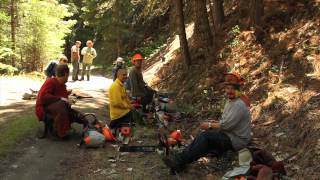 Ashland Forest Resiliency Next Phase: Ecological Thinning