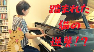 【ピアノ】【響子】平吉毅州: 踏まれた猫の逆襲（こどものためのピアノ曲集『虹のリズム』より）