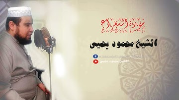 اقوى تلآوة مصرى مؤثرة جداا 2018 لفضيلة - الشيخ محمود يحيى -صوت يبكي الحجر  اجمل قراءة قران كريم 2018