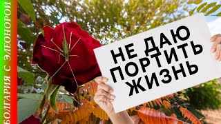 картинка: Плохие Новости в ДР | Болгария, Солнечный берег.
