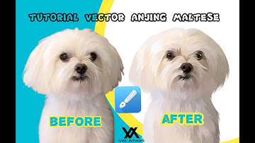 Tutorial vector pet infinite design - anjing siberian maltese
