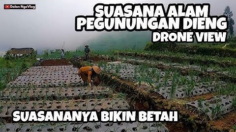 Suasana Keindahan Alam Swiss Van Java Pegunungan Dieng Wonosobo Drone View Part 2 || #DolanNgeVlog