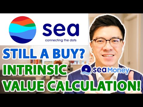 SEA LIMITED (SE) STOCK ANALYSIS - Still a Buy? Intrinsic Value Calculation! thumbnail