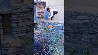 EVAKUASI ULAR DIBELAKANG GEDUNG BUPATI ‼️#shorts #trending #shortsfeed