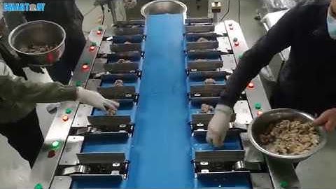 14 Head Linear Combination Weigher for Sliced Fish Meat