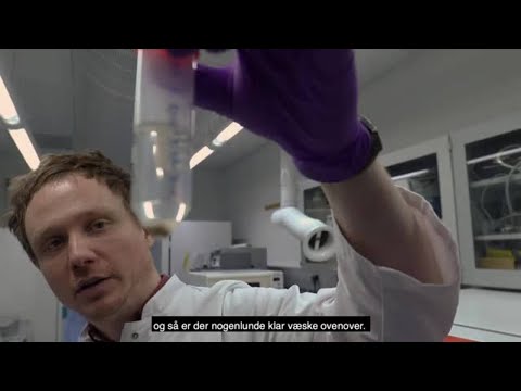 Video: Kan virus inficere archaea?