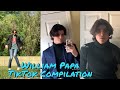 William Papa TikTok Compilation