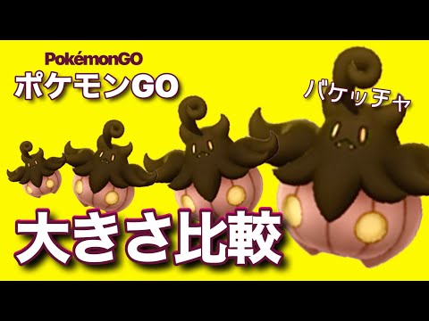 ソードシールド バケッチャ おおきいサイズ の種族値 わざ 特性など能力と入手方法 ポケモン剣盾 攻略大百科