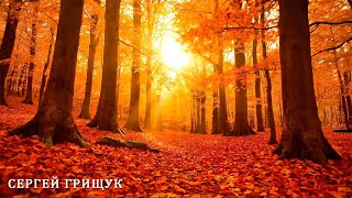 видео: СНОВА ОСЕНЬ🍁 Сборник ЛУЧШИХ Мелодий от которых мурашки по телу!#relaxmusic #Golden Autumn 2025#relax картинка: СНОВА ОСЕНЬ🍁 Сборник ЛУЧШИХ Мелодий от которых мурашки по телу!#relaxmusic #Golden Autumn 2025#relax