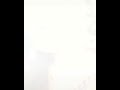 جاهي جو سازا هو وافاء حام كرنغي