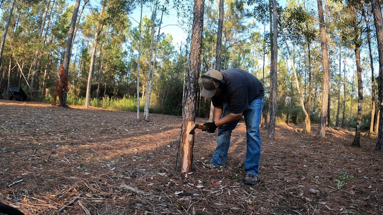Day 51 at The Rated R Ranch: Box Blade Blues and Bobcat Views