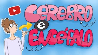 Qual é a diferença entre cérebro e encéfalo?