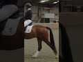 Transitions + Young Horses = More information about their reactions and ability to carry themselves