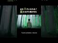 透明なまま壊れていく、静かな自己喪失｜『Lost in Lumination』short ver #6