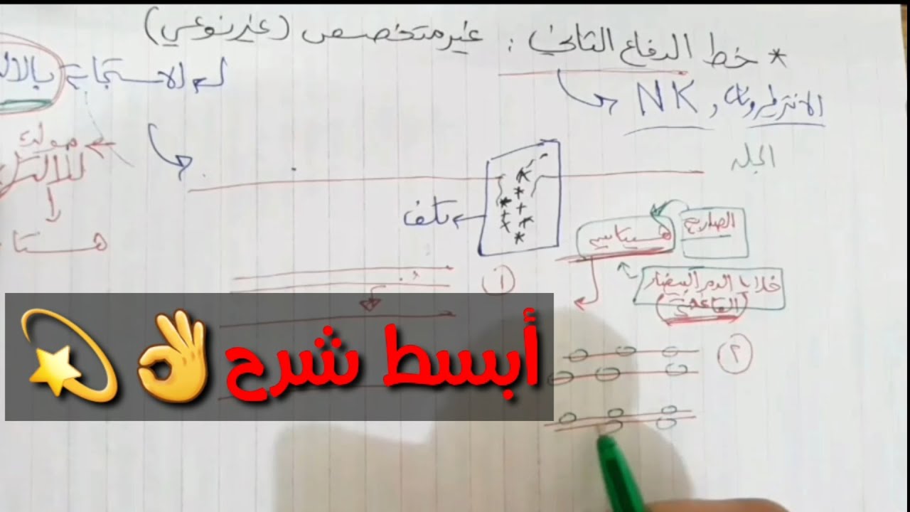 شرح الية عمل الجهاز المناعي في الانسان | المناعة الطبيعية بشكل مبسط جداا