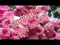 ফুলের মার্কেটে নানা রকমের ফুল ll Ferdous Creating ll #share #like #ferdouscreating #foryou #comment