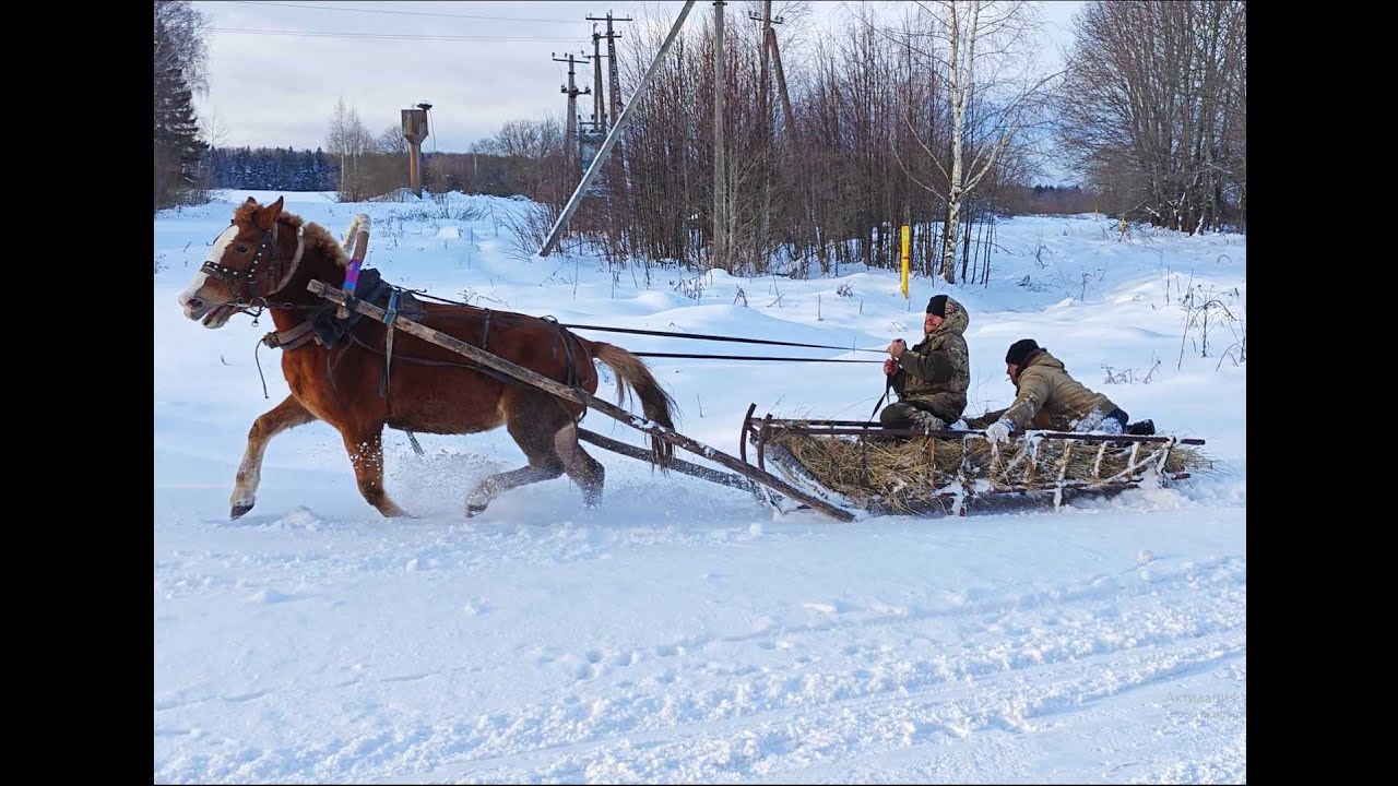 17.12.24 г. "Катаемся на Красотке!"