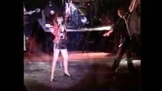 Deana Peher - Rip It Up Seagulls Stardust Room