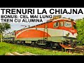 20 de trenuri la Chiajna-Trainspotting near Bucharest-Bahnverkehr im Mai