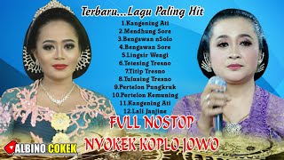 14 LAGU HIT NOSTOP...COKEK KOPLO JOWO // SINU LARAS