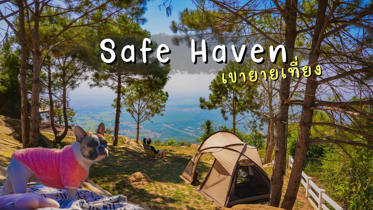 Safe Haven กางเต็นท์เขายายเที่ยง ลานดีไม่กลัวลมแรง Ep.101 พาหมาแคมป์