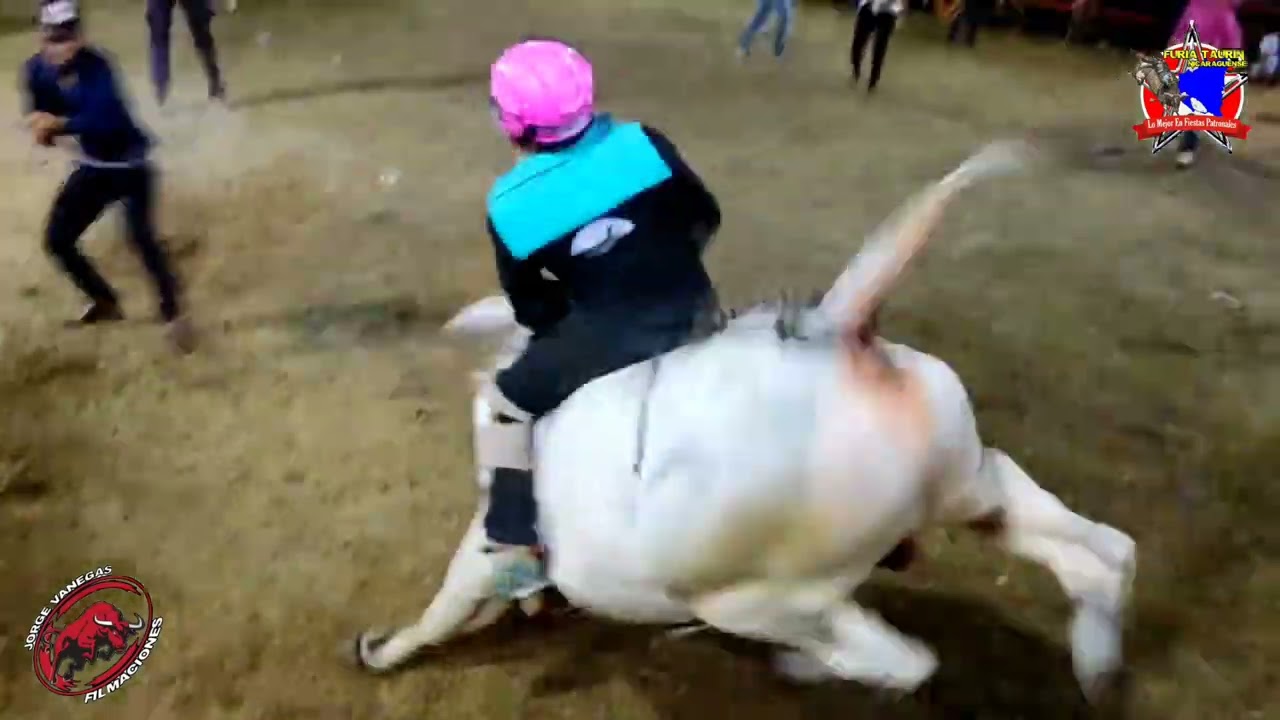 𝑪𝒐𝒓𝒓𝒊𝒅𝒂𝒔 𝑫𝒆 𝑻𝒐𝒓𝒐𝒔 𝑪𝒐𝒇𝒓𝒂𝒅𝒊𝒂,𝑭𝒖𝒓𝒊𝒂 𝑻𝒂𝒖𝒓𝒊𝒏𝒂 𝑵𝒊𝒄𝒂𝒓𝒂𝒈𝒖𝒆𝒏𝒔𝒆 ,𝑮𝒂𝒏𝒂𝒅𝒆𝒓𝒊𝒂 𝑫𝒆𝒏𝒊𝒔 𝑰𝒏𝒄𝒆𝒓 ,𝑯𝒖𝒎𝒃𝒆𝒓𝒕𝒐 𝑰𝒏𝒄𝒆𝒓 .