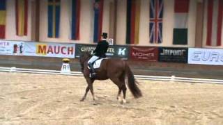 Famous Darius Rubin CDN-A Weikersdorf Wealth