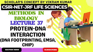 Protein-DNA Interaction (DNA Footprinting, EMSA, ChiP) | Methods in Biology