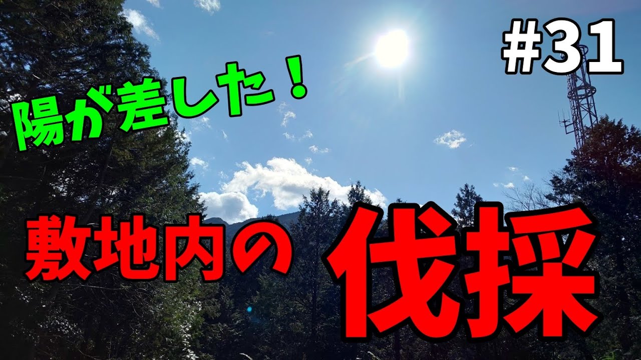 【山林開拓】#31「伐採作業」【開拓編】