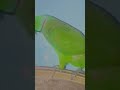 parrot sound 🫶🏻 #parrot #survival #birds #viral #talkingparrot #logcabin #funny #cute #youtubeshorts
