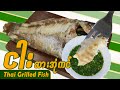 Thai Grilled Fish | လွယ်ကူပြီး အရသာကောင်းမွန်သော ငါးဆားအုံကင်ပြုလုပ်နည်း