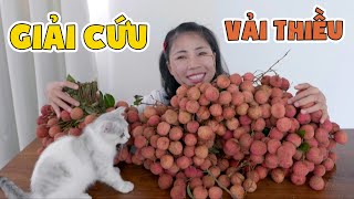 Phi Vụ Giải Cứu Vải Thiều