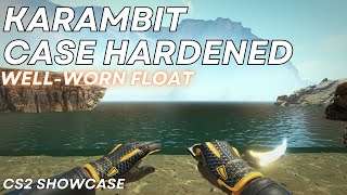 Karambit Case Hardened Well-Worn Cs2 Skin Showcase