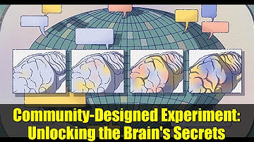 Community-Designed Experiment: Unlocking the Brain