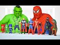 Superheroes and PJ Masks Play With Toys