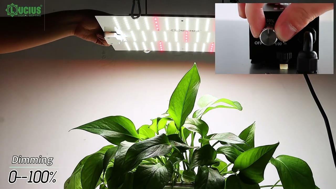 120W Quantum Board With UV&IR