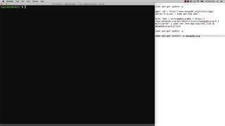 Mongo installation on ubuntu