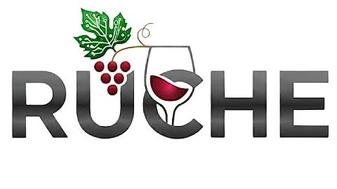 RUCHE - B-AROL-O Team response to MCP-1st-Birthday Hackathon