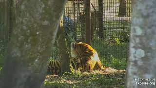 Priya: Hey Dutchess! When you talk to Brittany, tell her I am ready for a swim! Priya/Dutchess BCR.