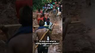 A Call To Action From The Munduruku