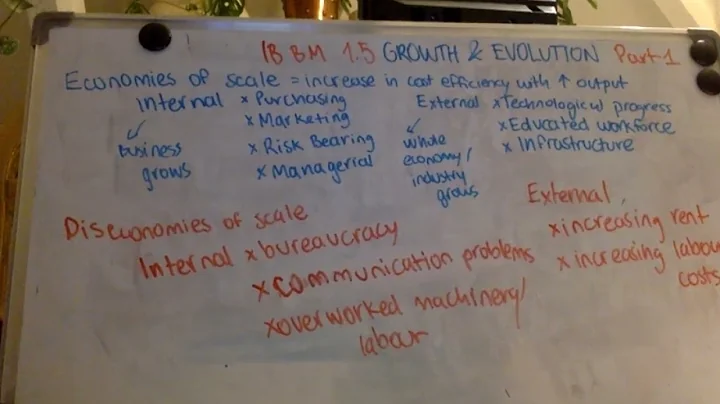 IB Business Management 1.5 Growth and evolution Part 1 2024