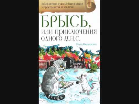 #СказкаНаНочь Брысь, или приключения одного м. н. с.